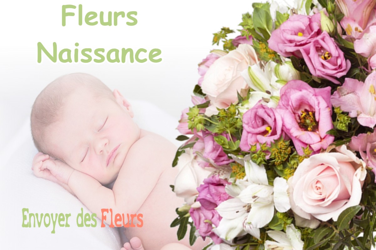 lIVRAISON FLEURS NAISSANCE à LA-FERTE-SAINT-AUBIN