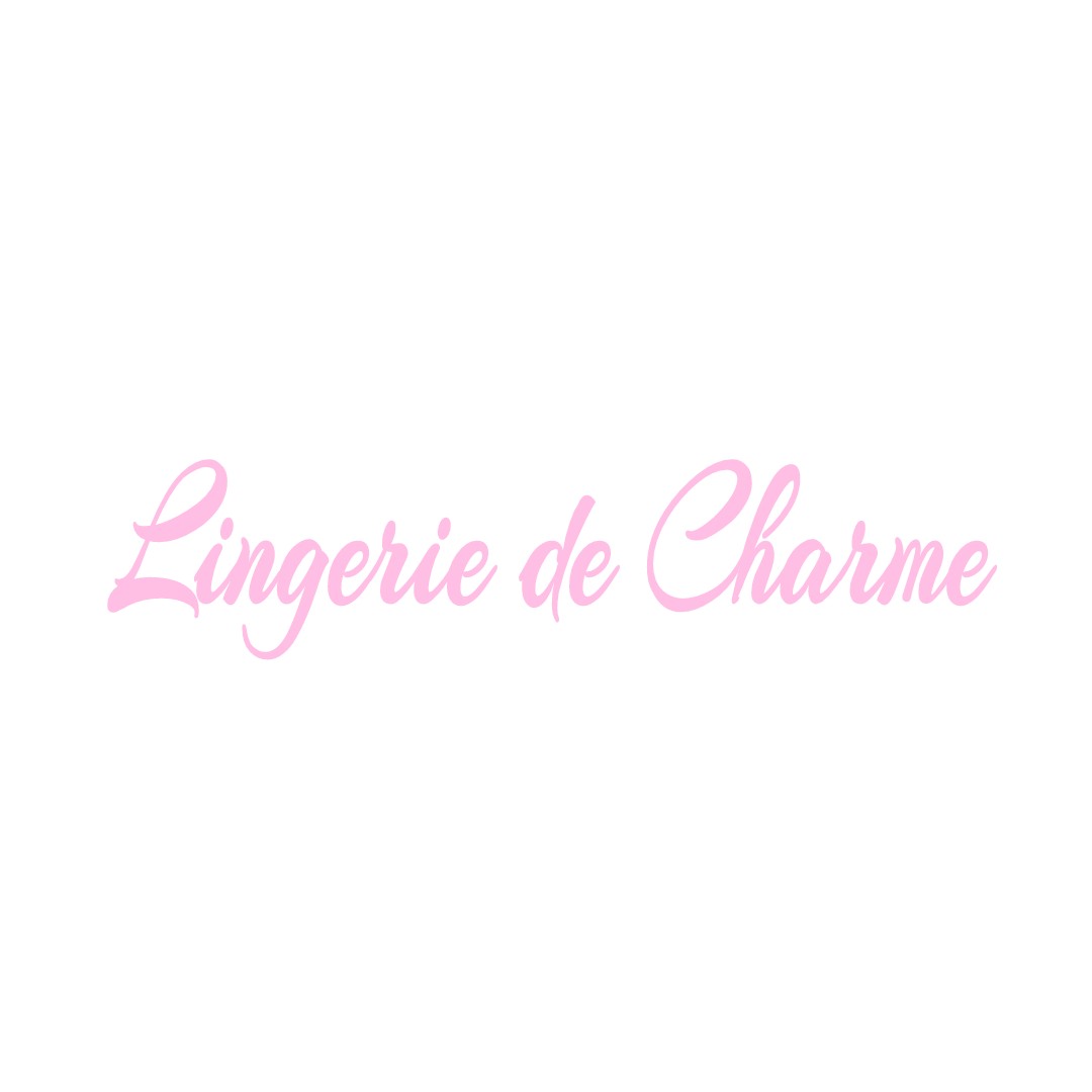 LINGERIE DE CHARME LA-FERTE-SAINT-AUBIN